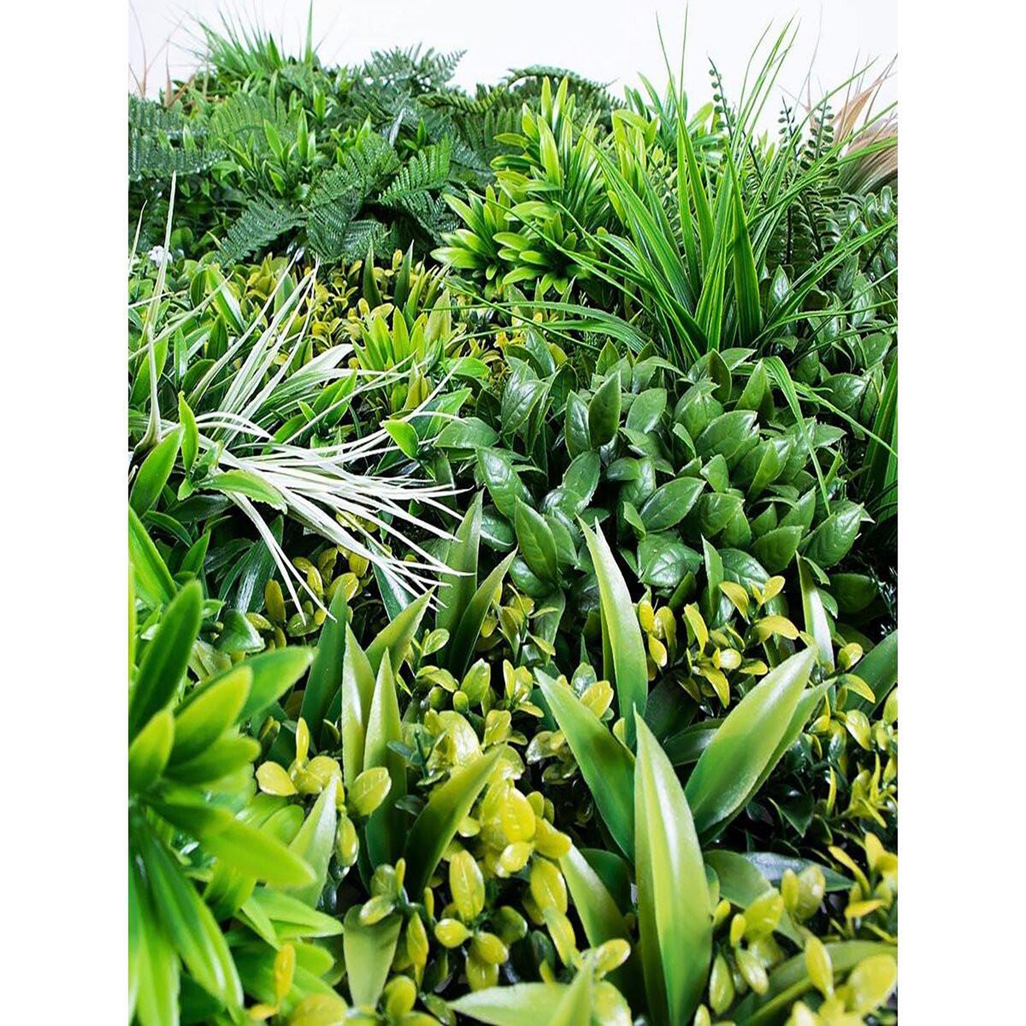 Voir la diapositive 3 : Nortene Panneau décoratif Sauvage feuillage synthétique - Vert - 1x1m