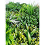 Voir la diapositive 3 : Habitat et Jardin Panneau végétal -   Vertical Sauvage    - Lot de 4 - 1.00 x 1.00 m - Vert