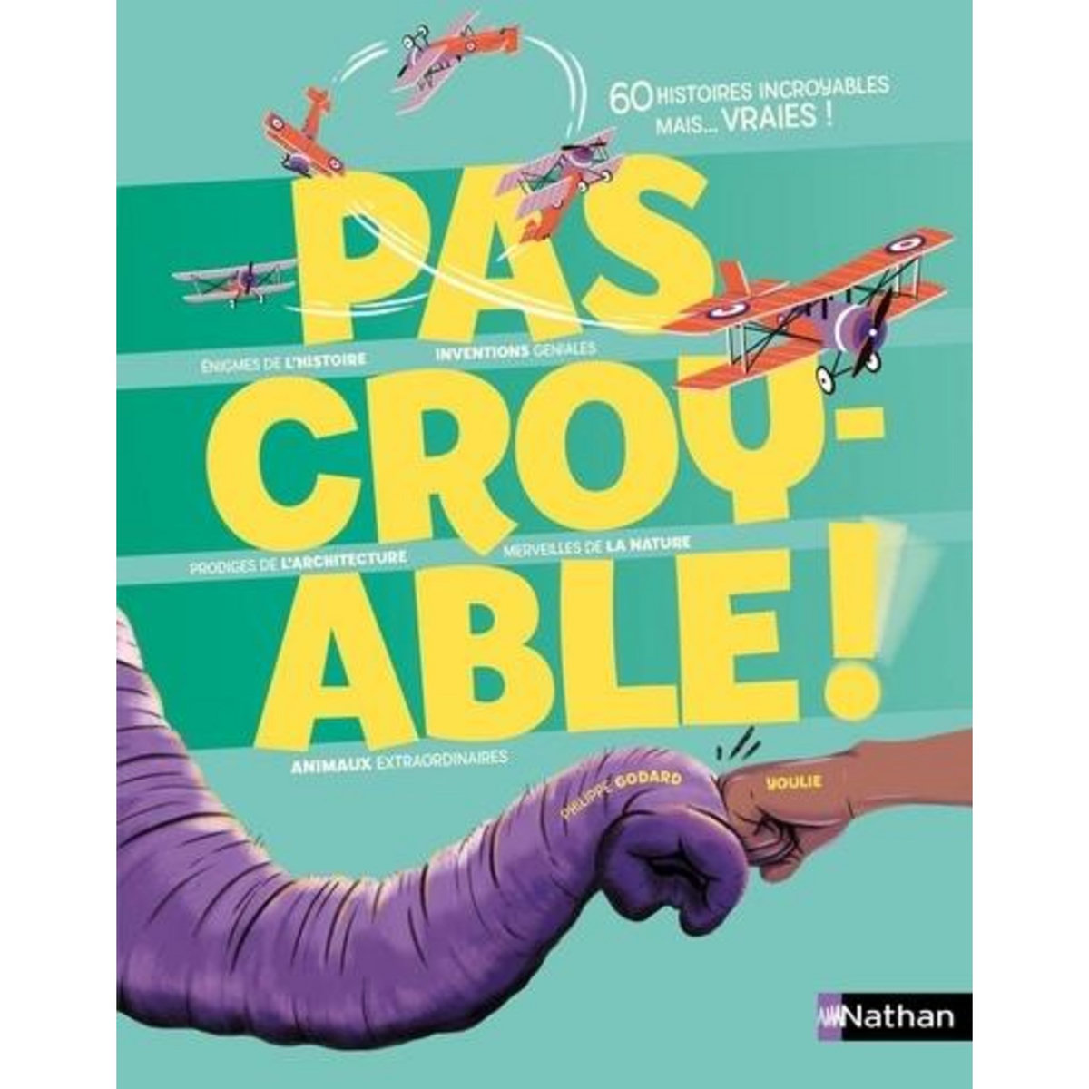 PAS CROYABLE !, Godard Philippe