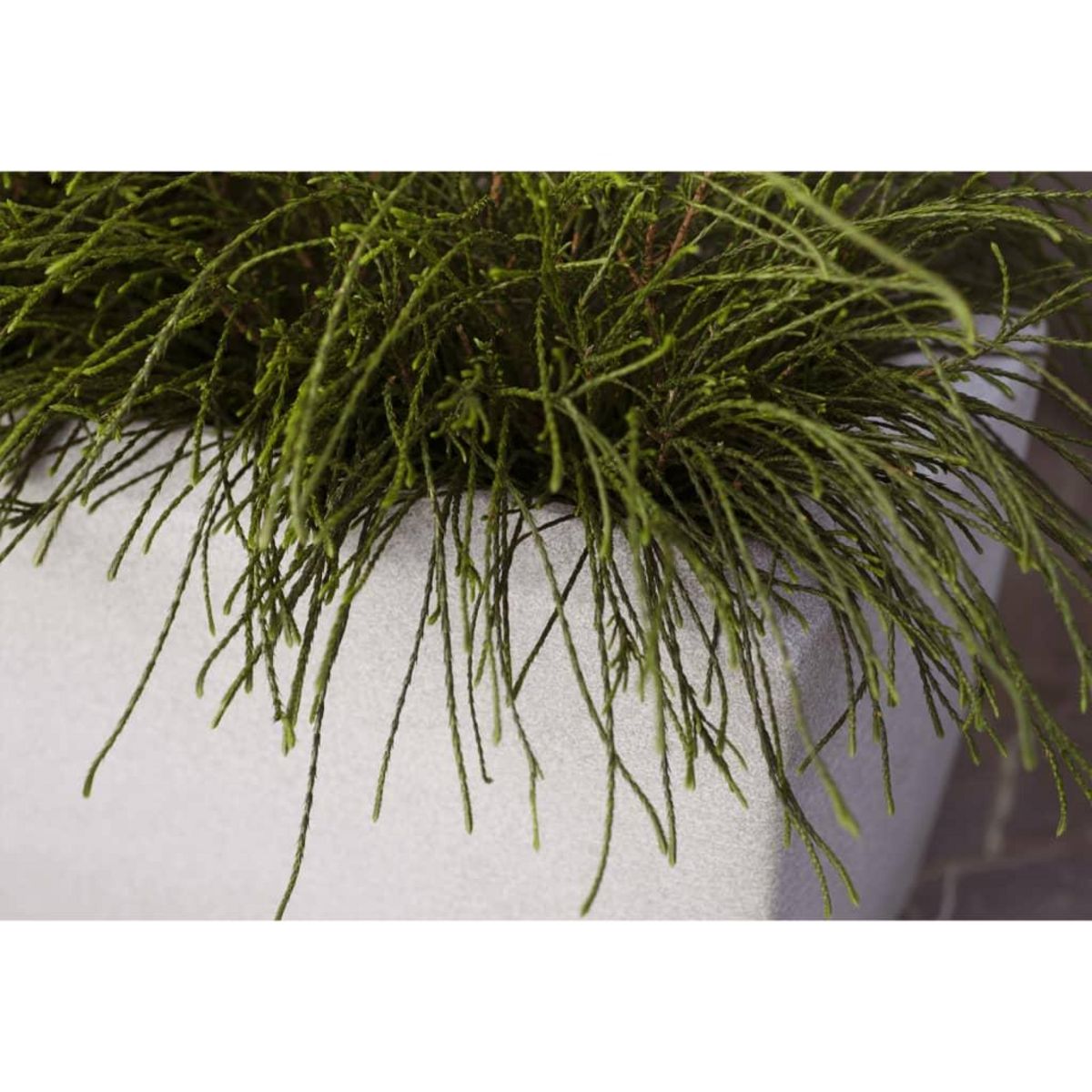 CAPI Capi Jardiniere rectangulaire Arc Granite 60x35x40 cm Ivoire