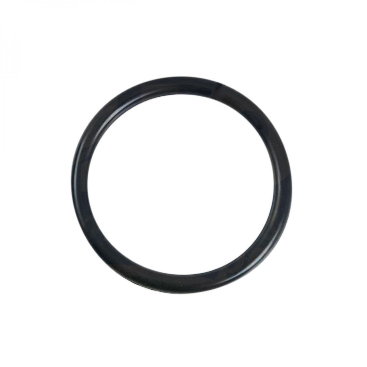 Astral Joint torique ampoule pour projecteur de piscine - Ø 13 cm - Noir