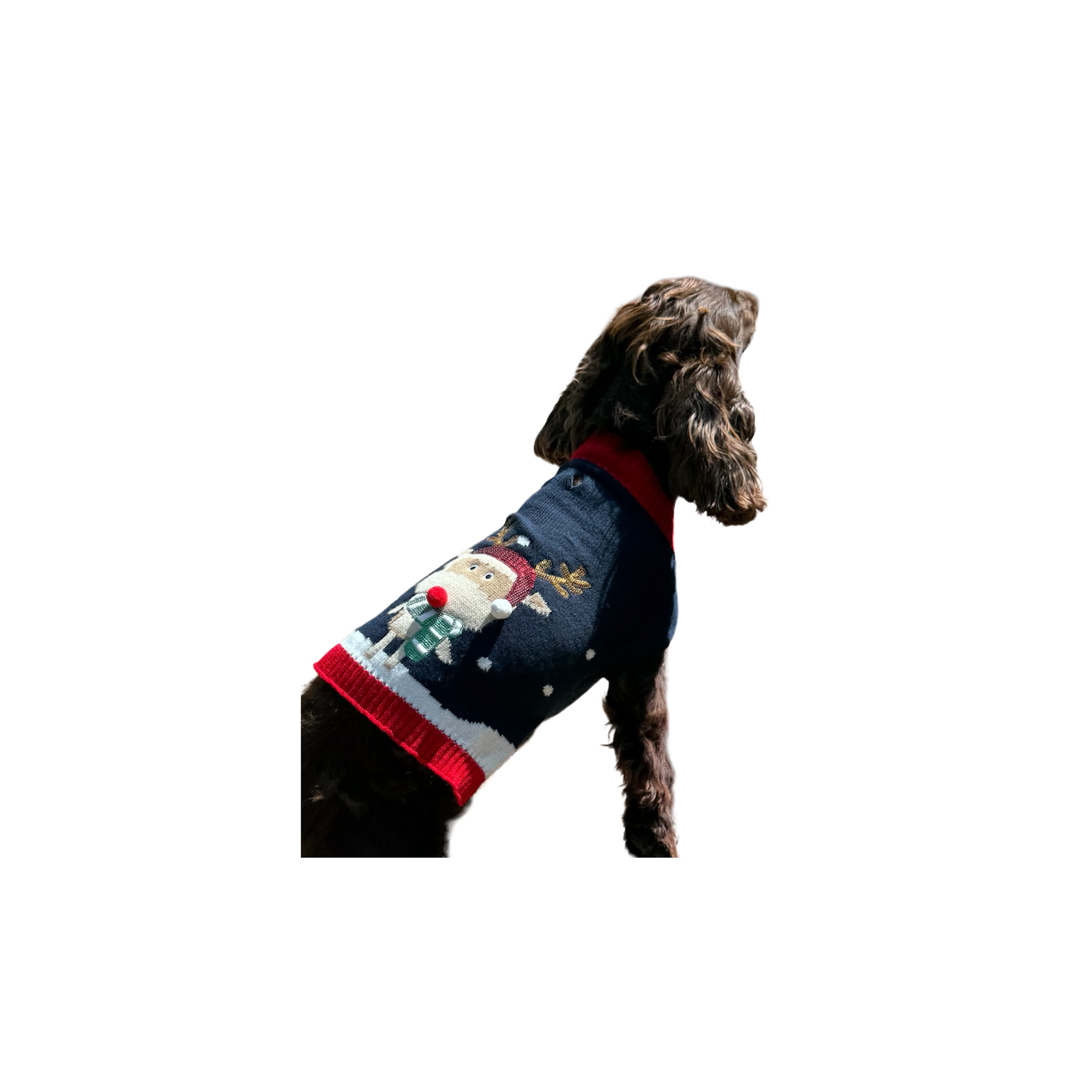 Voir la diapositive 4 : MON AMI LUKI Pull noel noir-pour chien- deguisement tricote - festif