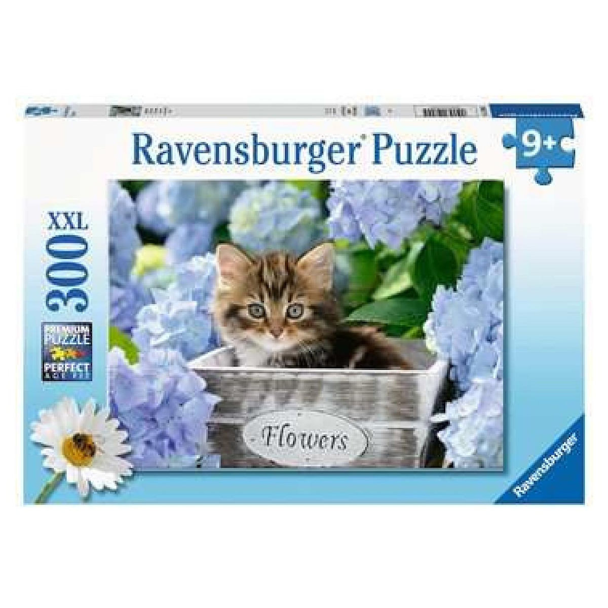 RAVENSBURGER Puzzle 300 p XXL - Petit chaton