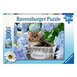RAVENSBURGER Puzzle 300 p XXL - Petit chaton
