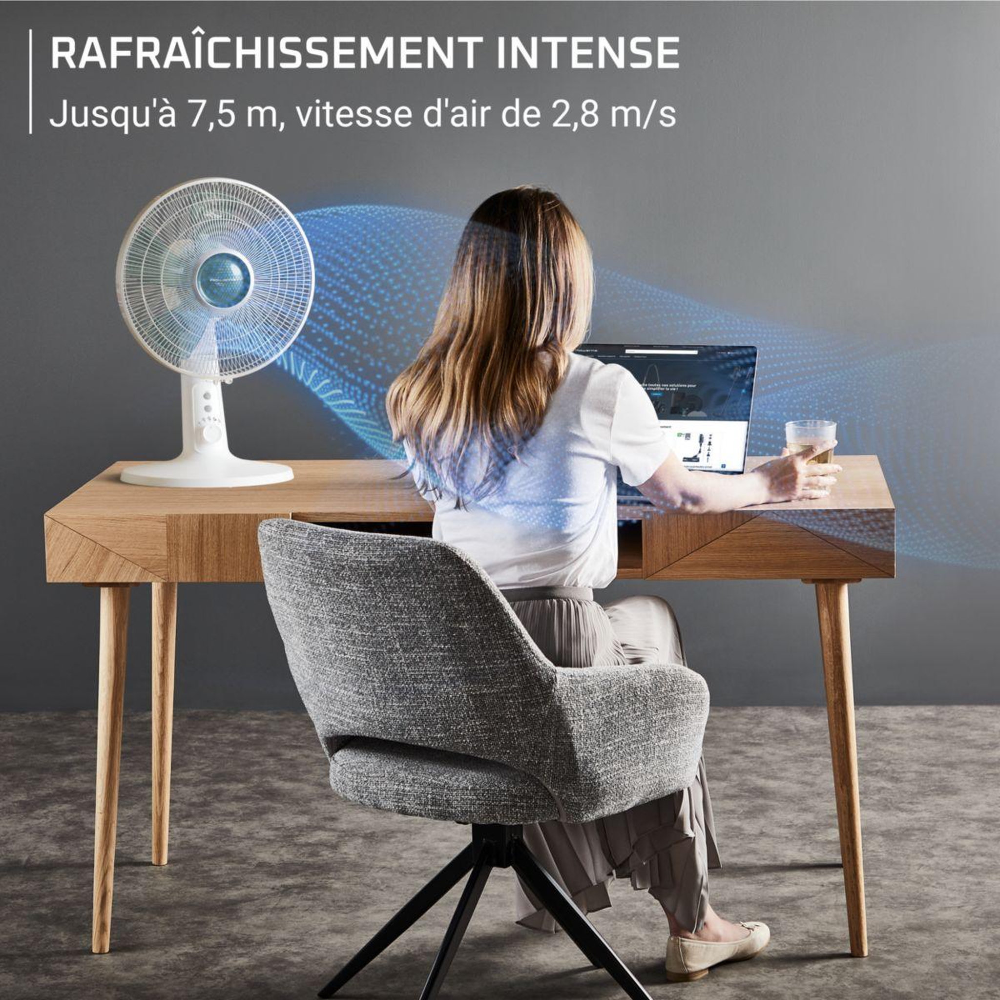 Voir la diapositive 3 : ROWENTA Ventilateur VU2740F0