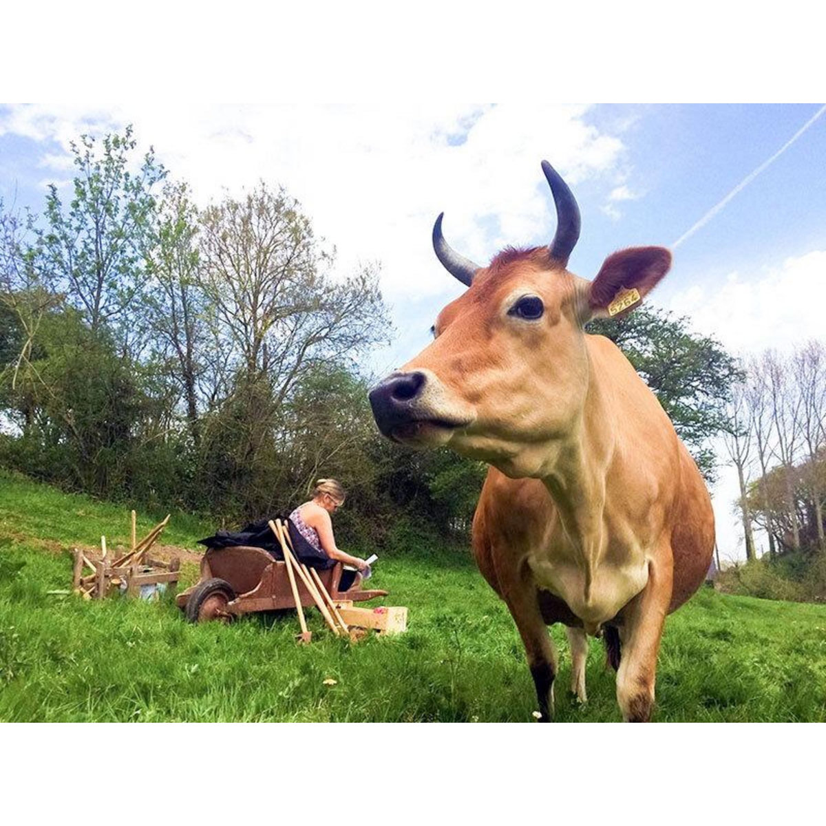 Smartbox Golf au milieu de la nature et des animaux pour 3 en Normandie - Coffret Cadeau Sport & Aventure