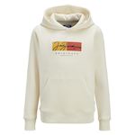 Jack & Jones Sweat  Garçon Jack & Jones Jorfrederik. Coloris disponibles : Beige
