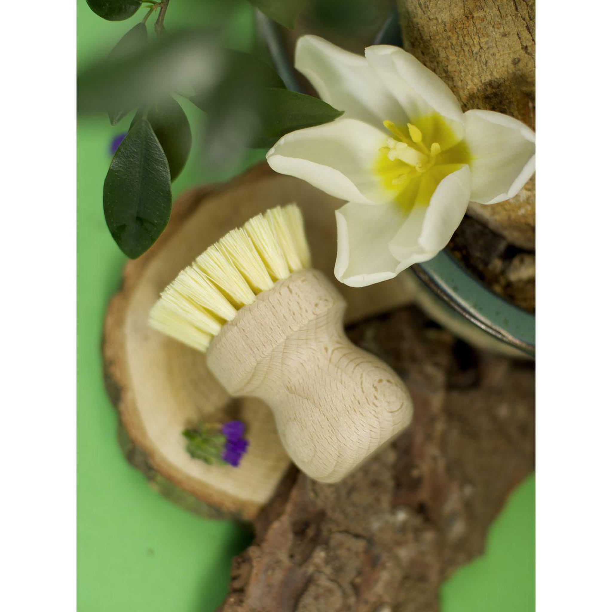 Voir la diapositive 6 : Fackelmann Set de 2 brosses à légumes en bois fackelmann nature fsc