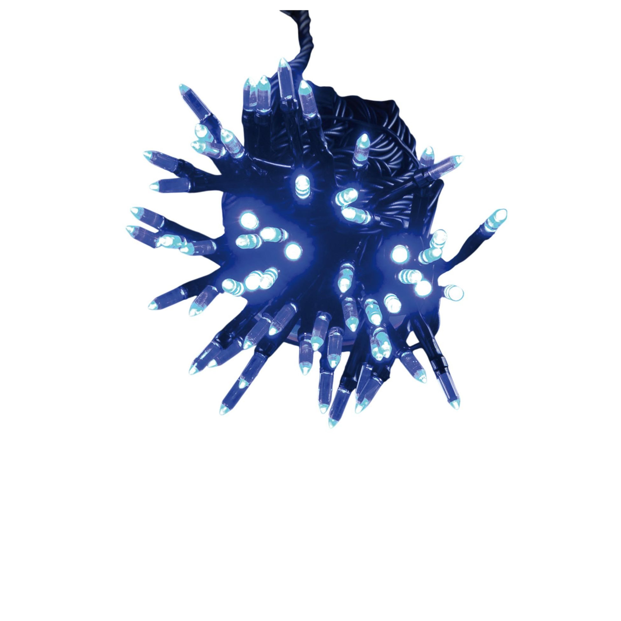 Eden Guirlande électrique exterieur 80 led grain de riz bleu anime
