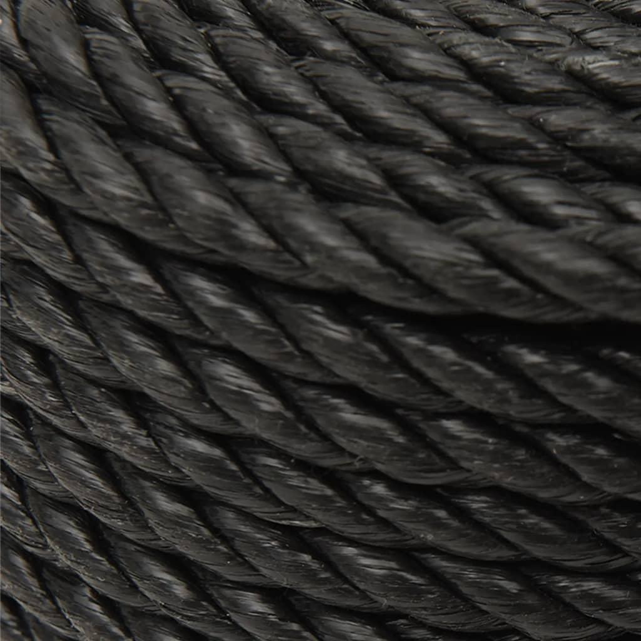 Voir la diapositive 4 : VIDAXL Corde de travail Noir 10 mm 100 m polypropylene