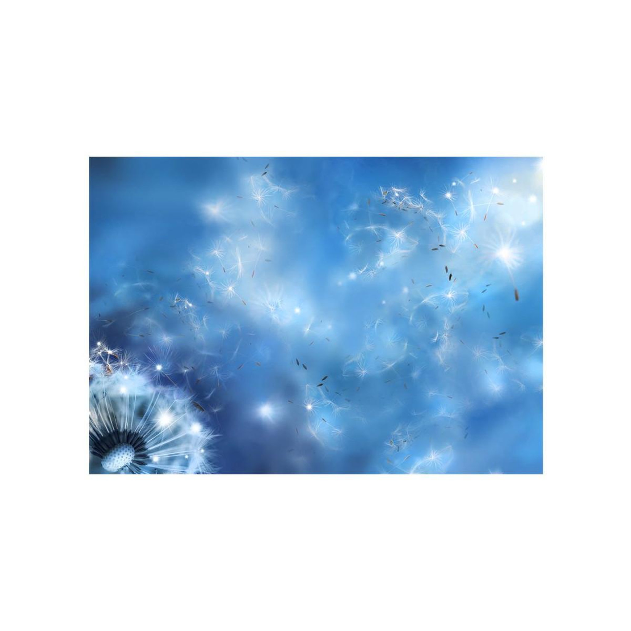 Voir la diapositive 2 : Paris Prix Papier Peint  Magic of Nature