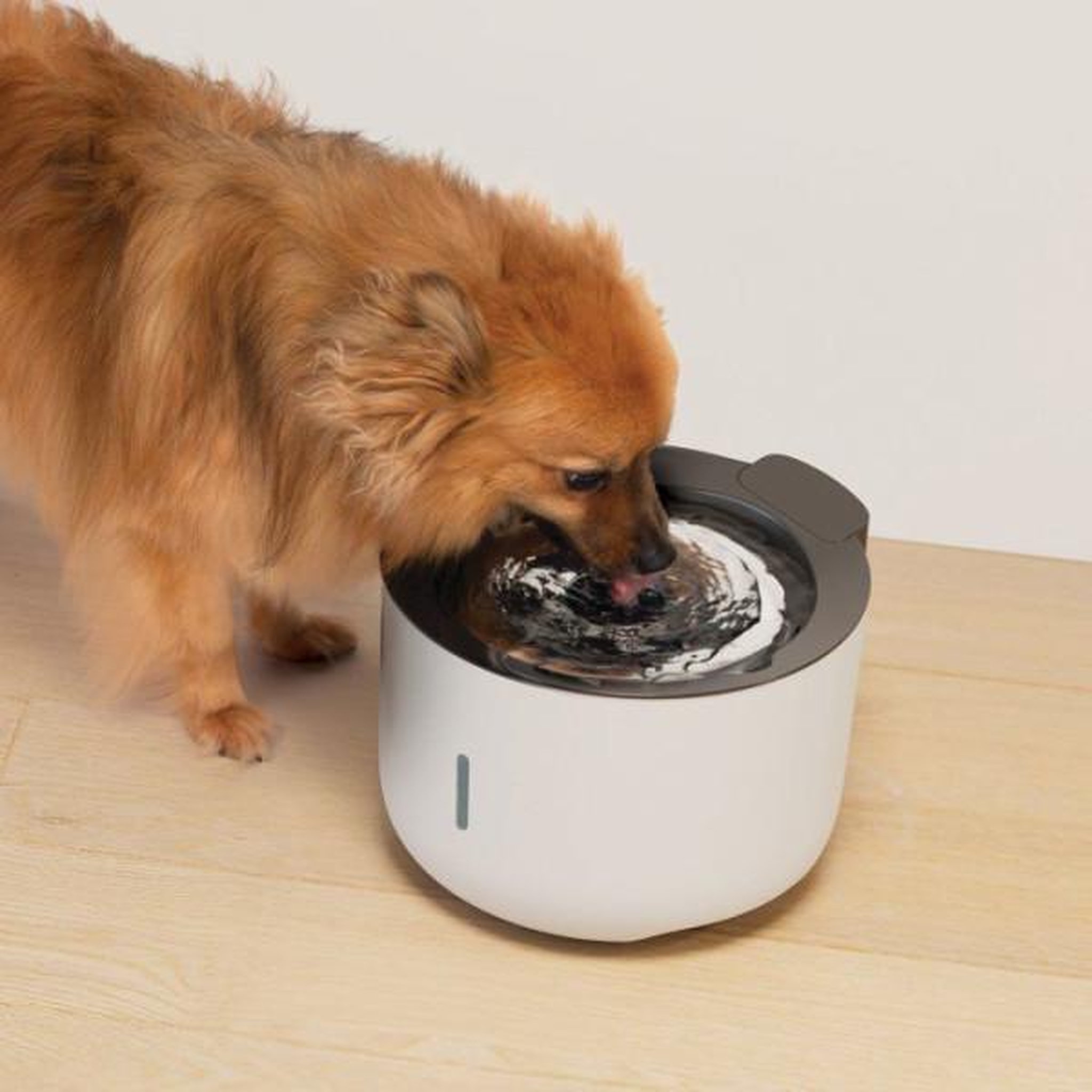Voir la diapositive 3 : ZEUS Fontaine a eau pour chiens - zeus - oasis - capacité 3 l