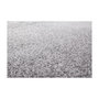 Voir la diapositive 3 : Paris Prix Tapis à Poils Courts Tissé  Stanley  Gris Argent