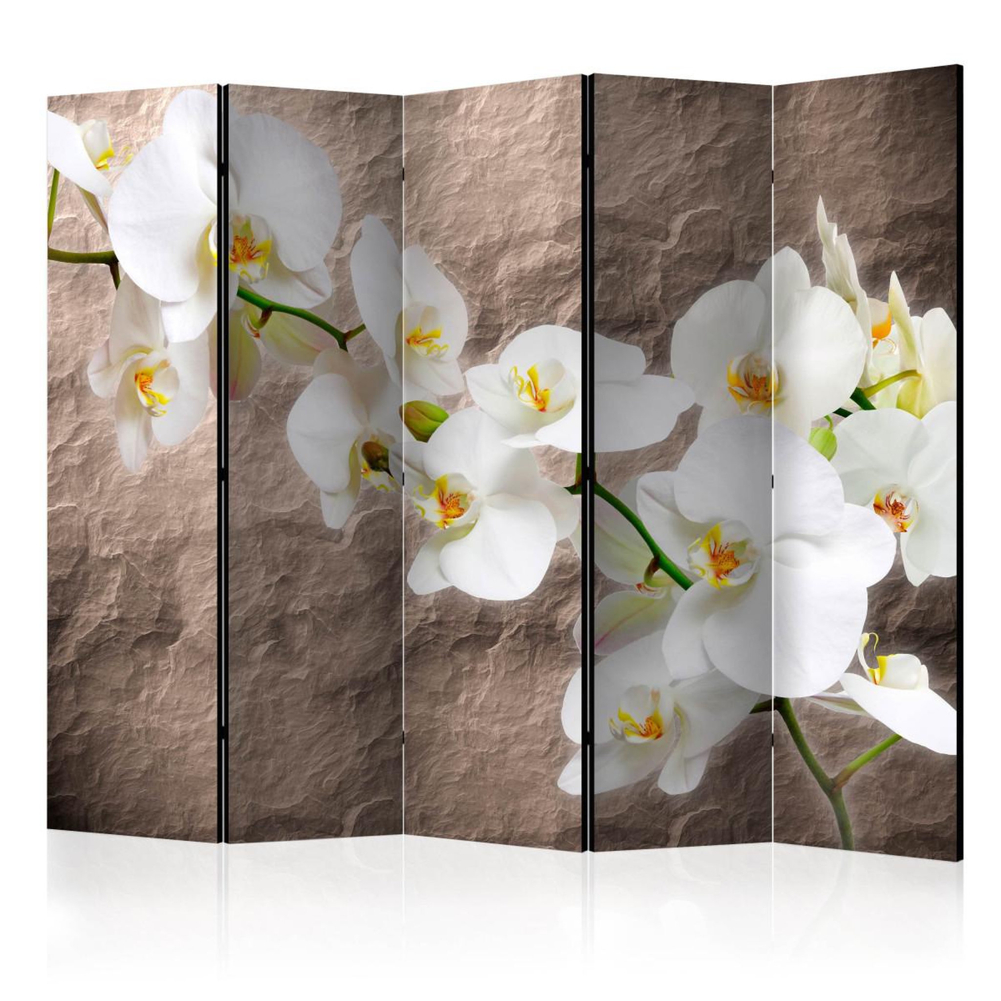 Paris Prix Paravent 5 volets  impeccability of the orchid  172x225cm