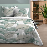 STOF Housse de couette 240x220 finition rabat + 2 taies coton 57 fils