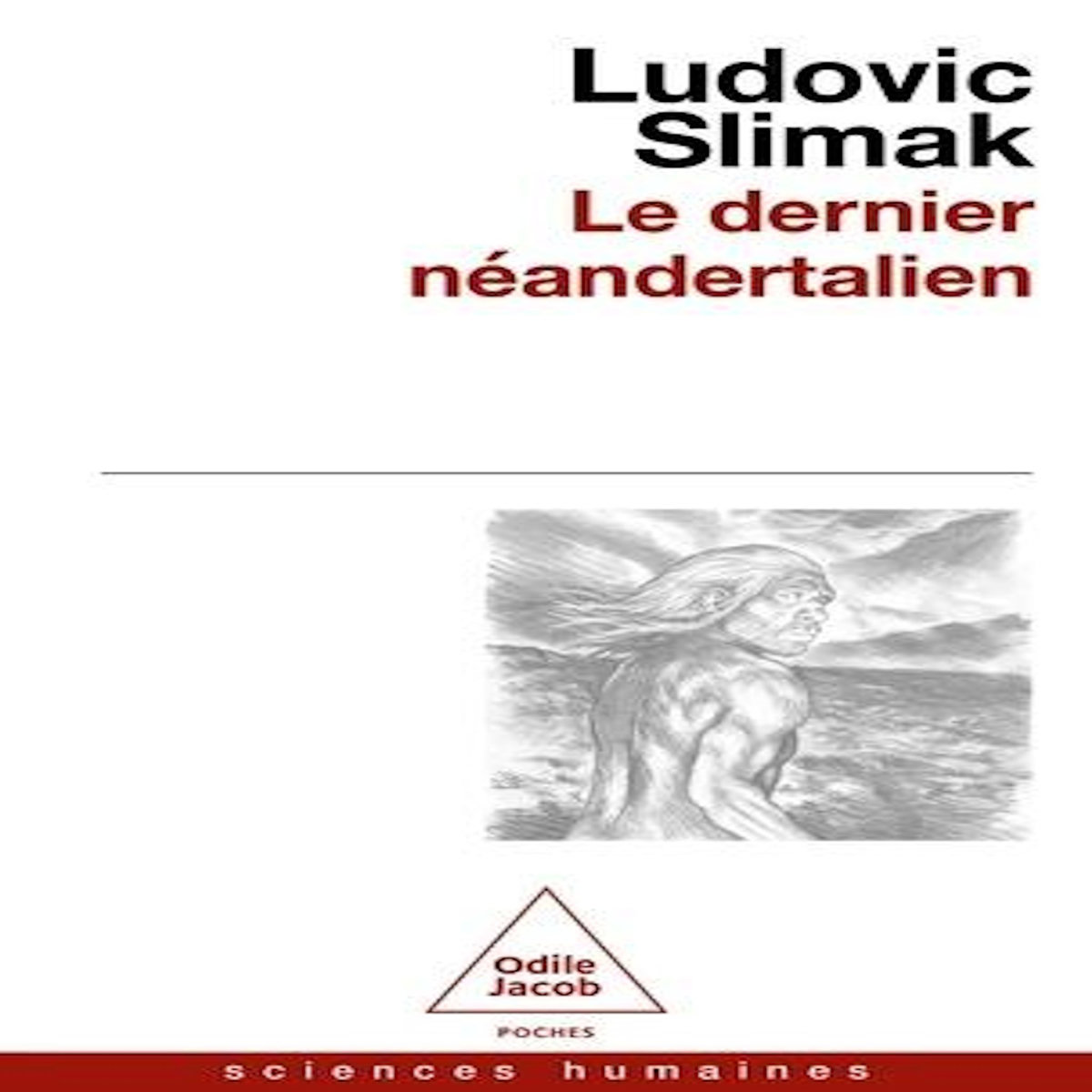 LE DERNIER NEANDERTALIEN. COMPRENDRE COMMENT MEURENT LES HOMMES, Slimak Ludovic