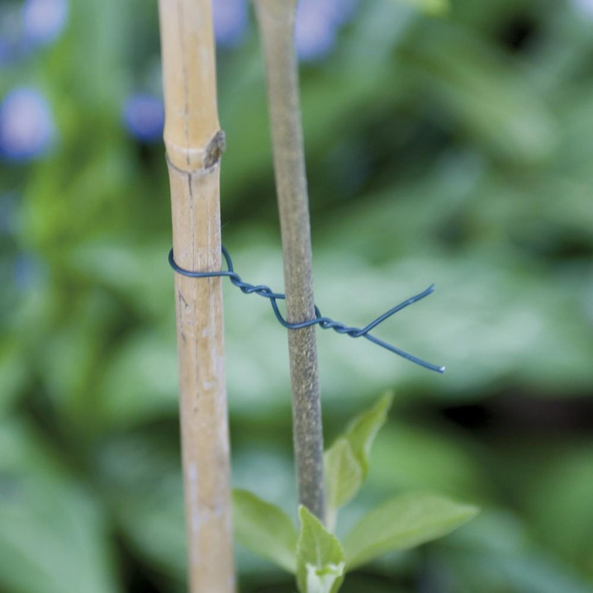Nortene Fil de fer pour arbres NORTENE, 25 m