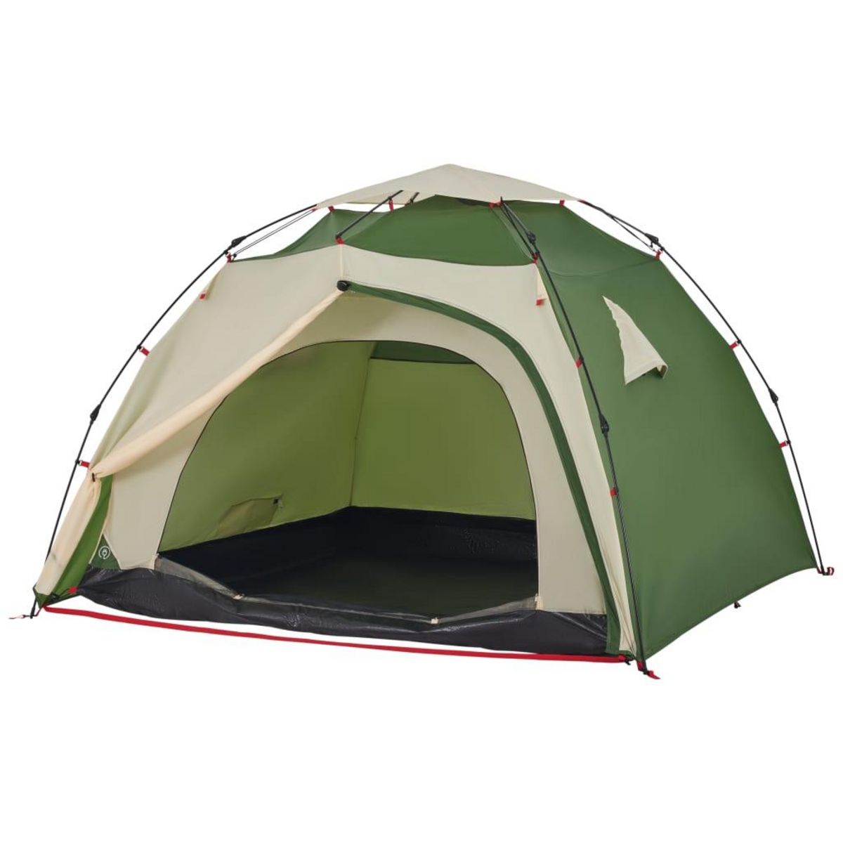 VIDAXL Tente de camping a dome 4 personnes vert liberation rapide