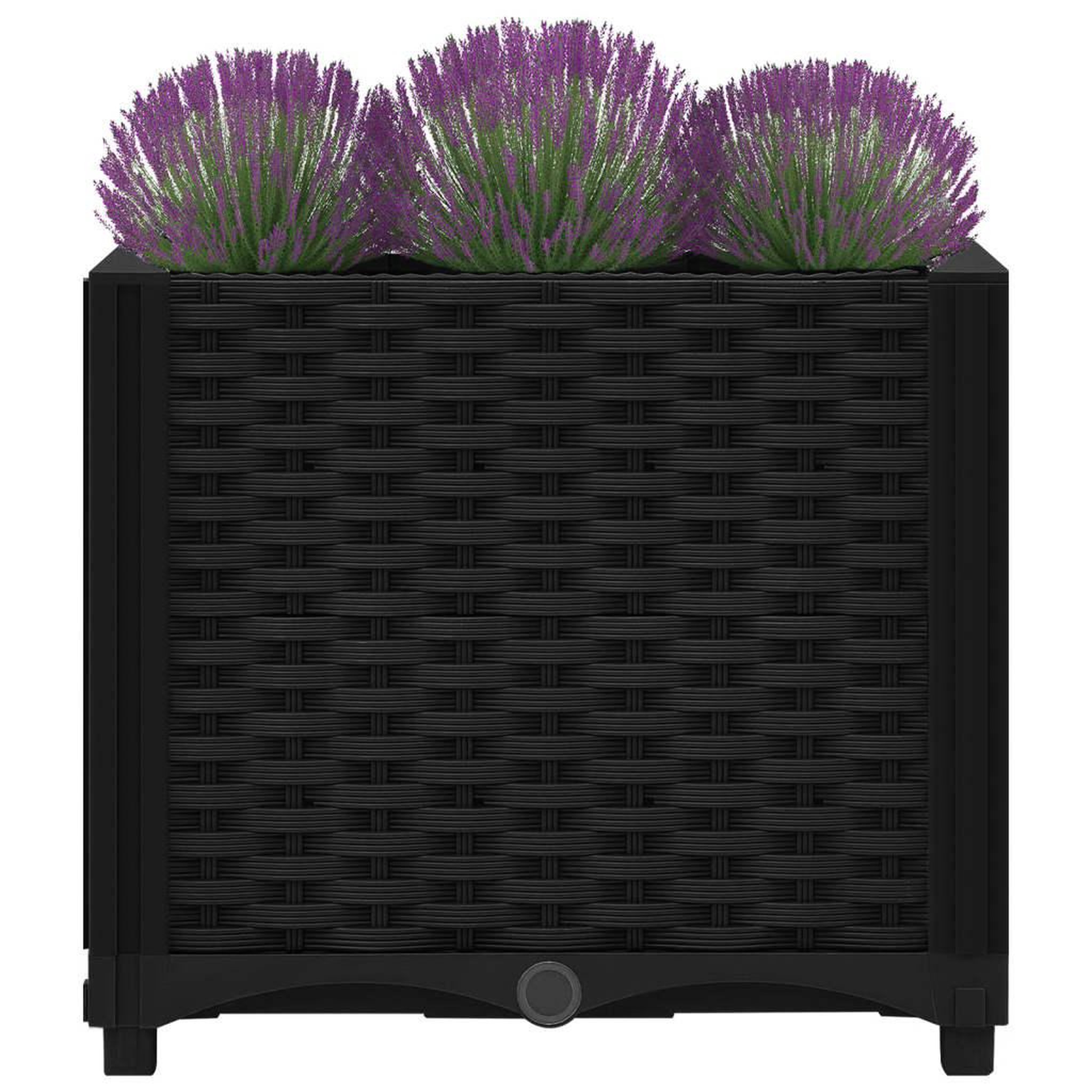 Voir la diapositive 3 : VIDAXL Lit sureleve 40x40x38 cm Polypropylene