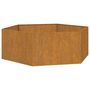 Voir la diapositive 2 : VIDAXL Jardiniere Rouille 138x120x45 cm Acier corten