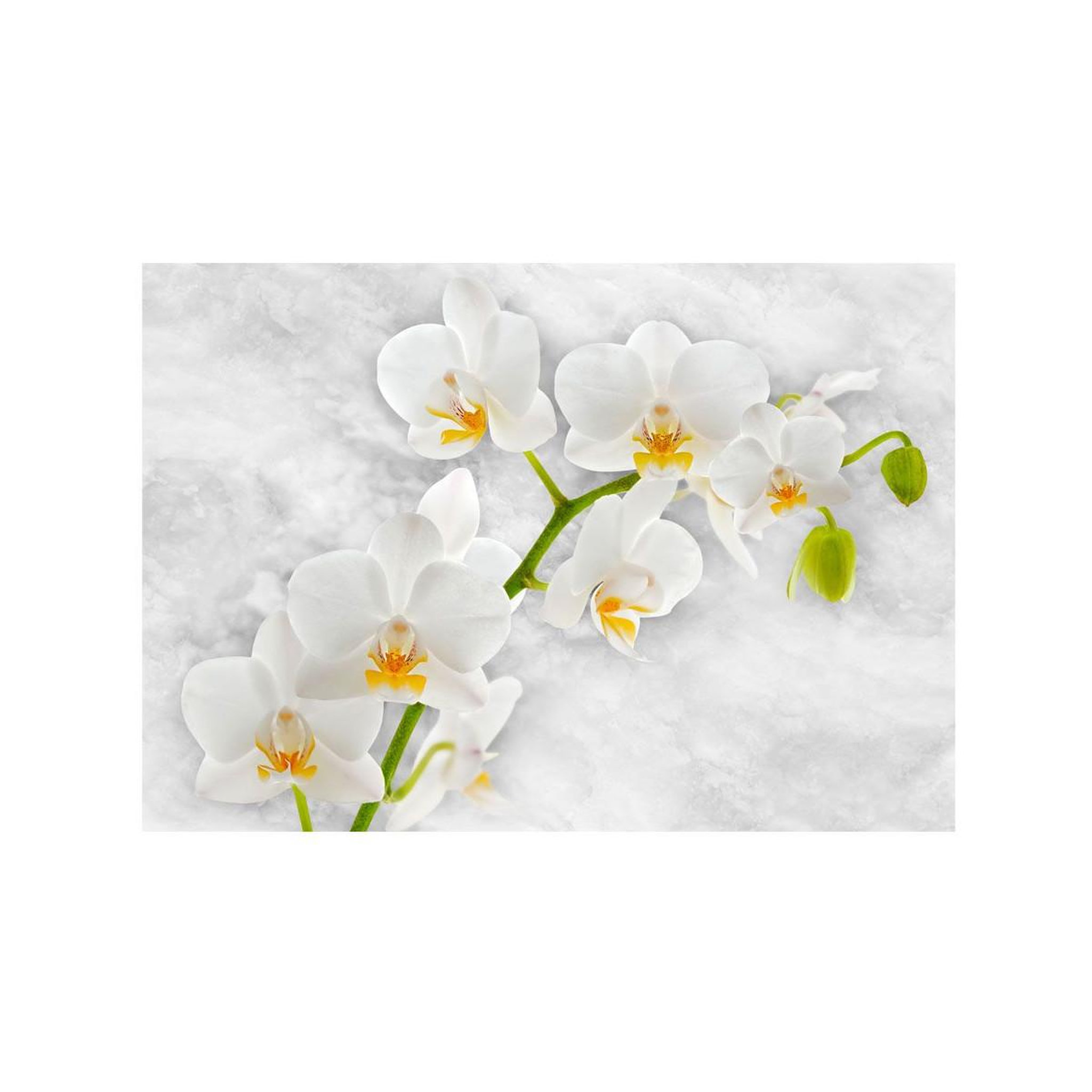 Voir la diapositive 2 : Paris Prix Papier Peint  Lyrical Orchid White