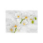 Voir la diapositive 2 : Paris Prix Papier Peint  Lyrical Orchid White