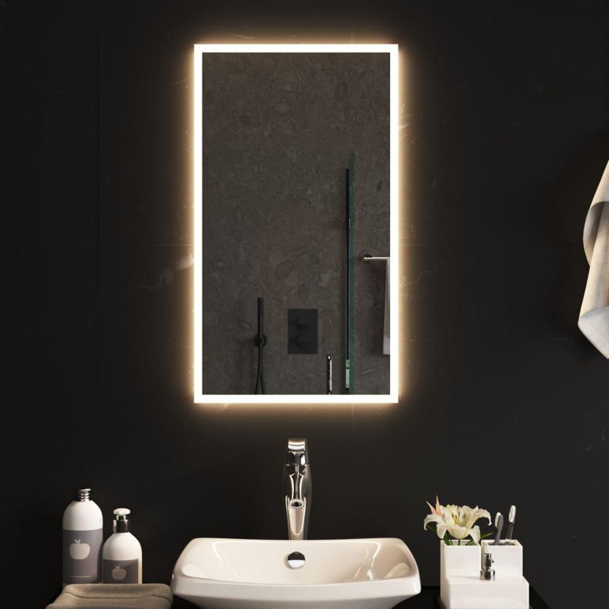 VIDAXL Miroir de salle de bain a LED 40x70 cm