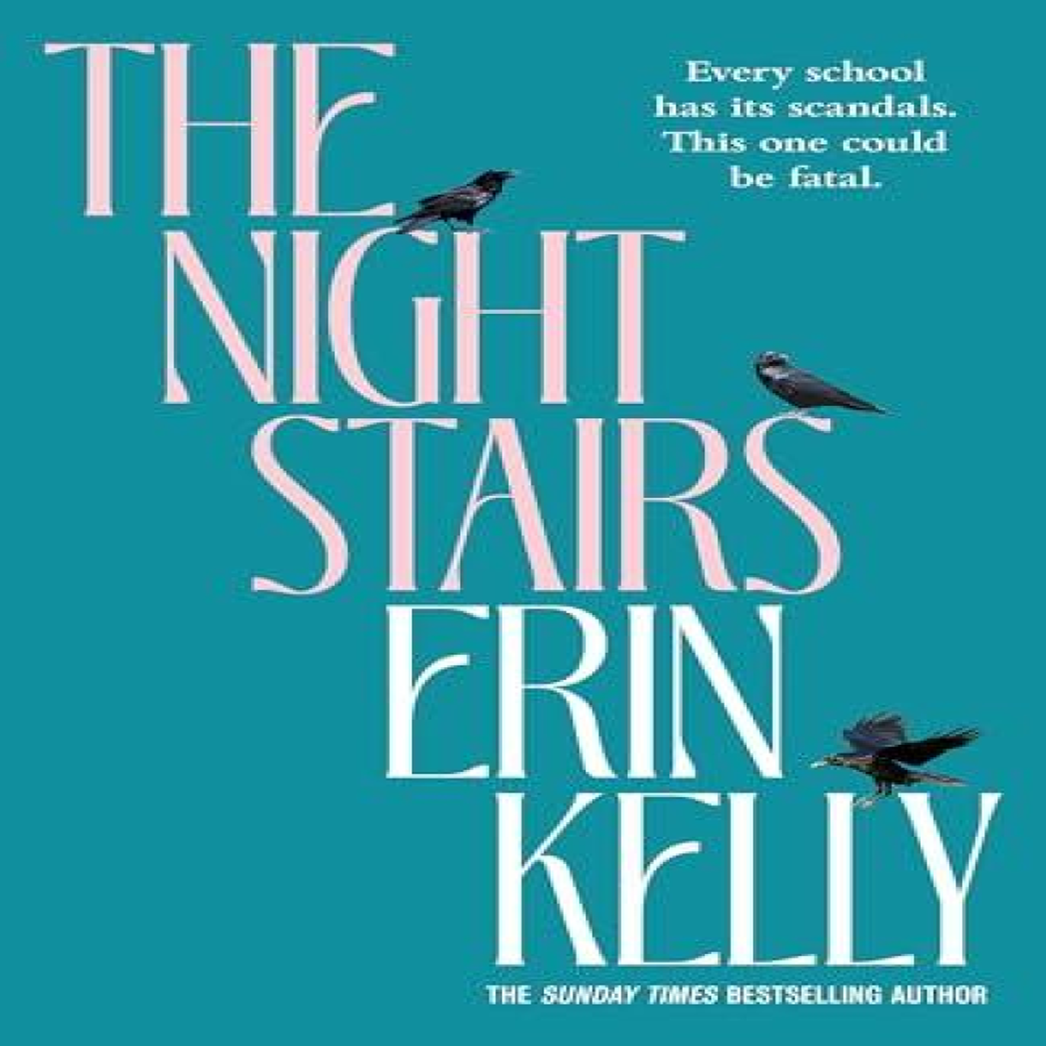 LIVRES Night Stairs - Erin Kelly