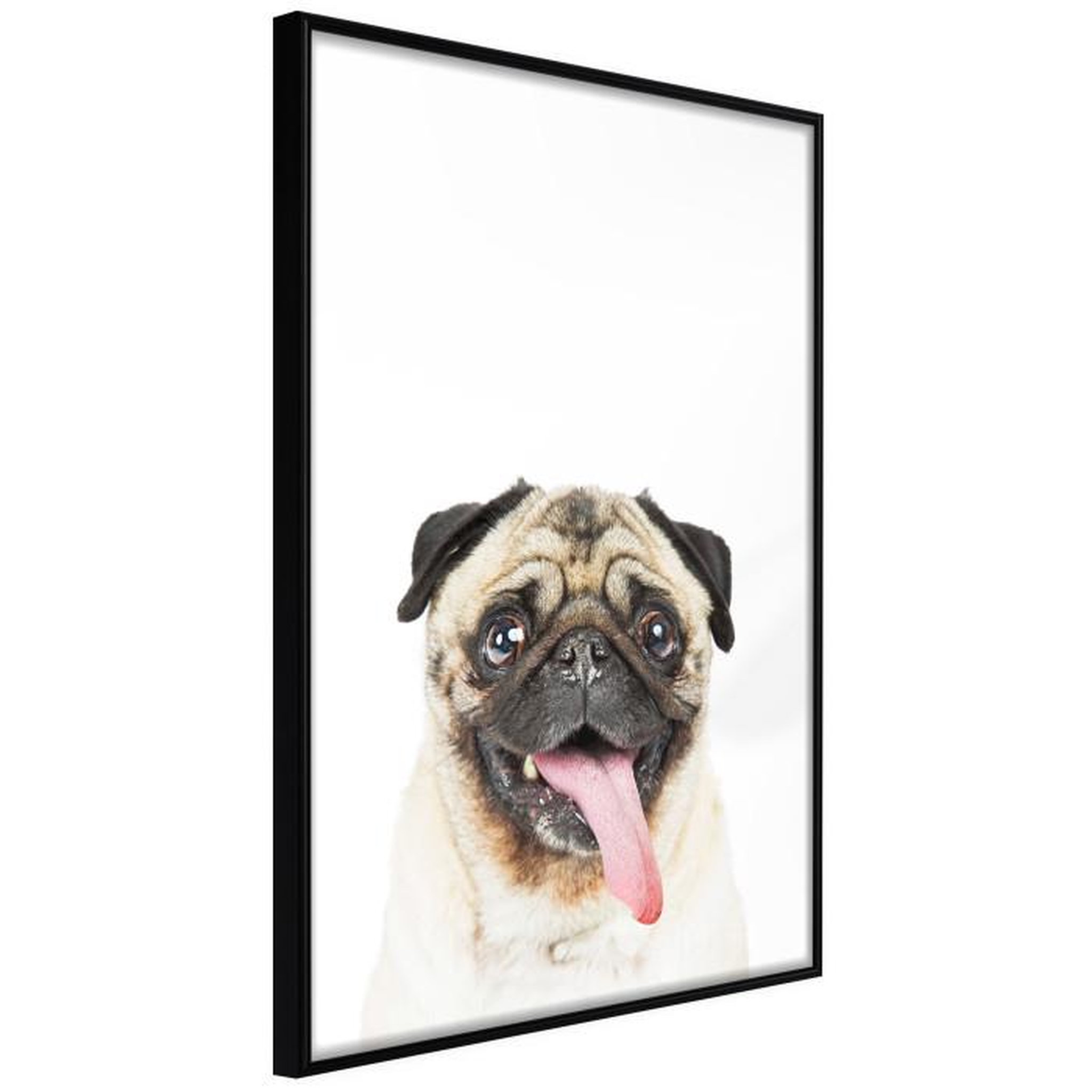 Paris Prix Affiche Murale Encadrée  Funny Pug. Coloris disponibles : Noir, Jaune