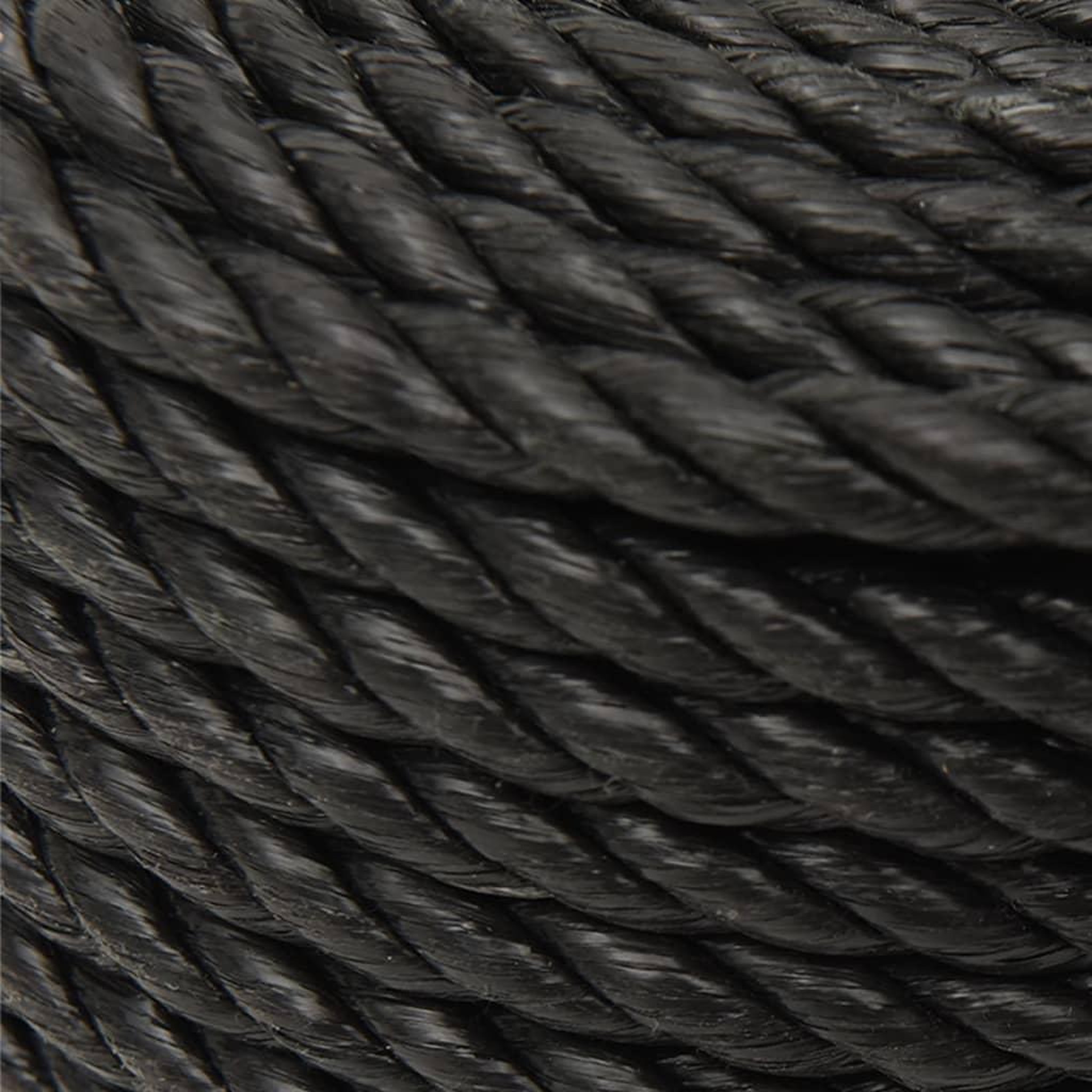 Voir la diapositive 4 : VIDAXL Corde de travail Noir 12 mm 25 m polypropylene