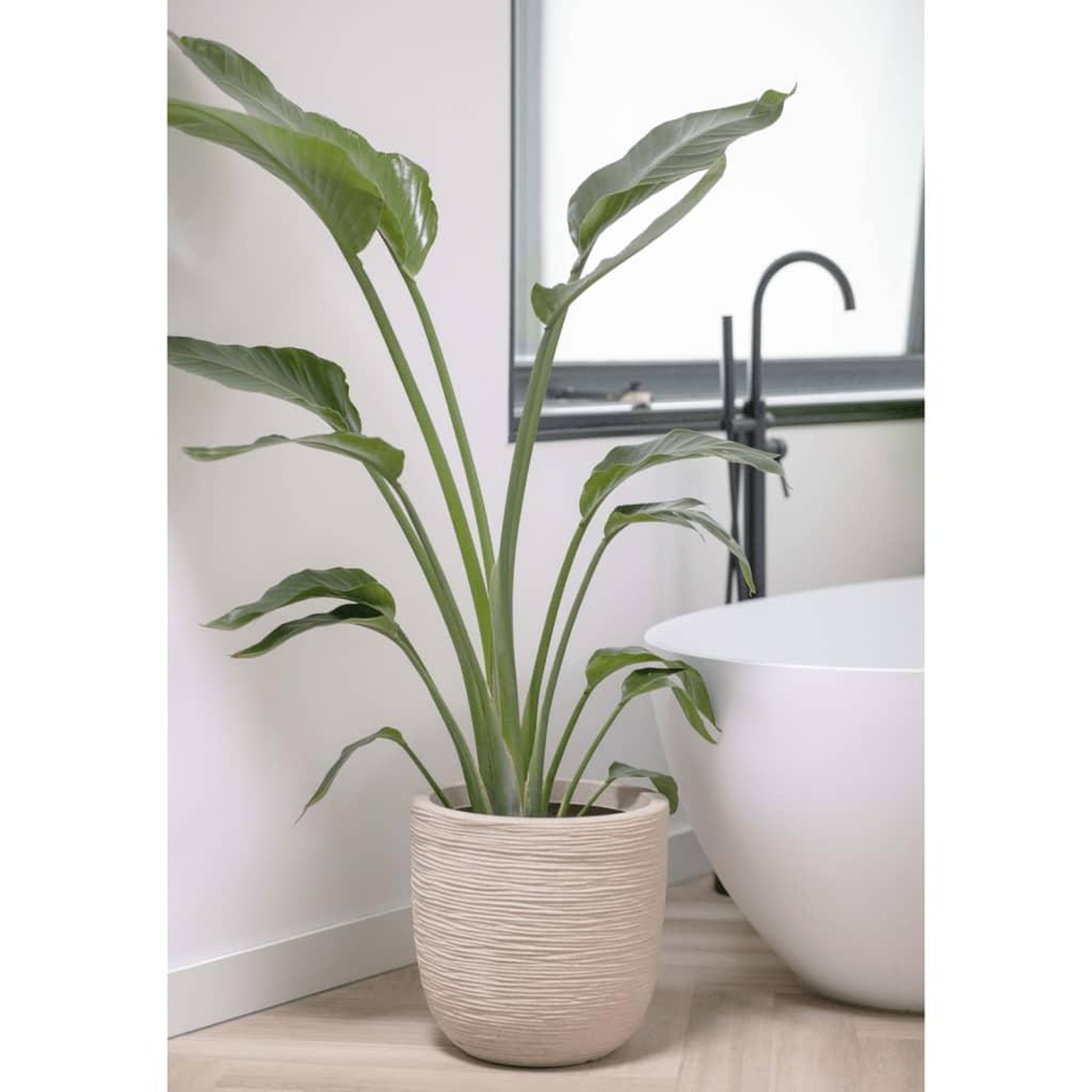 Voir la diapositive 4 : CAPI Capi Pot a fleurs Waste Rib 35x34 cm Beige terrazzo