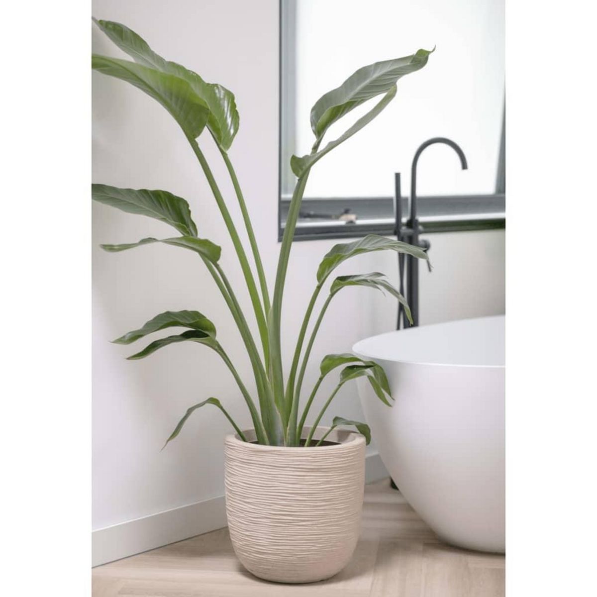 CAPI Capi Pot a fleurs Waste Rib 35x34 cm Beige terrazzo