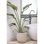 Voir la diapositive 4 : CAPI Capi Pot a fleurs Waste Rib 35x34 cm Beige terrazzo