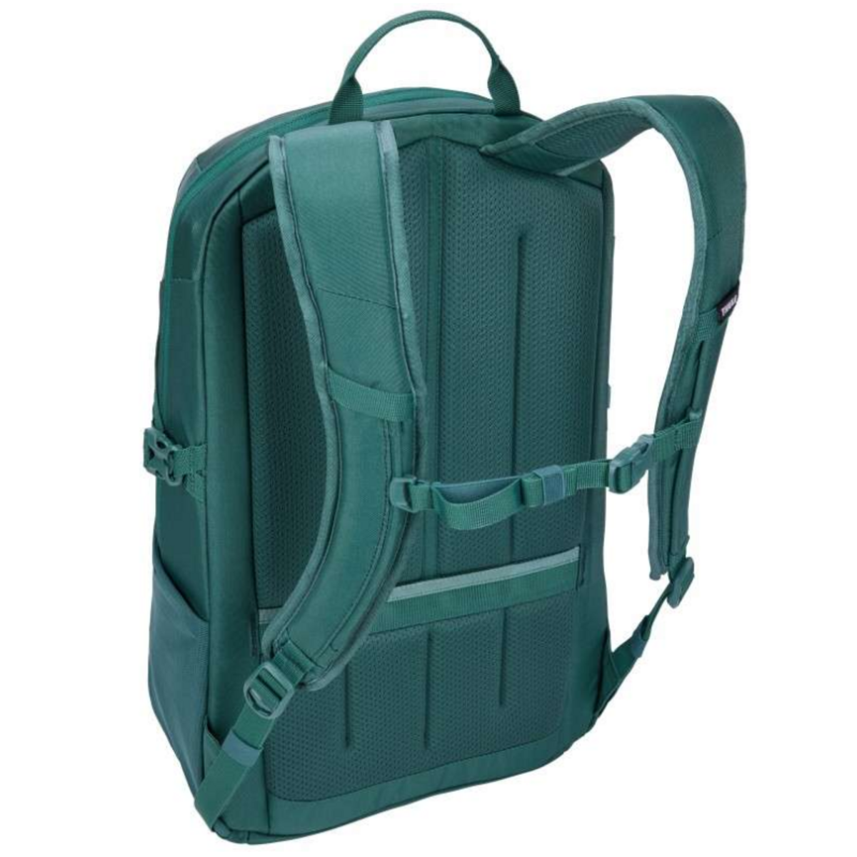 Thule Sacoches de transport THULE TEBP4116MALLARDGREEN