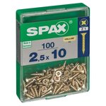 CENTRALE BRICO Lot de 100 vis acier tête fraisée pozidriv SPAX, Diam.2.5 mm x L.10 mm