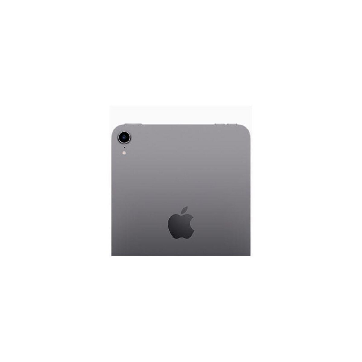 APPLE iPad mini 6 (2021) reconditionné 64 Go - Grade A - Gris