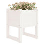 Voir la diapositive 3 : VIDAXL Jardinieres 2 pcs Blanc 40x40x52,5 cm Bois massif de pin