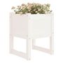 Voir la diapositive 3 : VIDAXL Jardinieres 2 pcs Blanc 40x40x52,5 cm Bois massif de pin