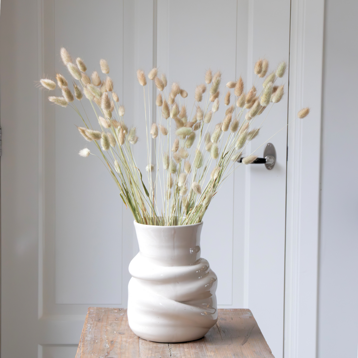 PLANT IN A BOX Fleurs séchées - Bouquet 'Lagurus Bunny Ears'