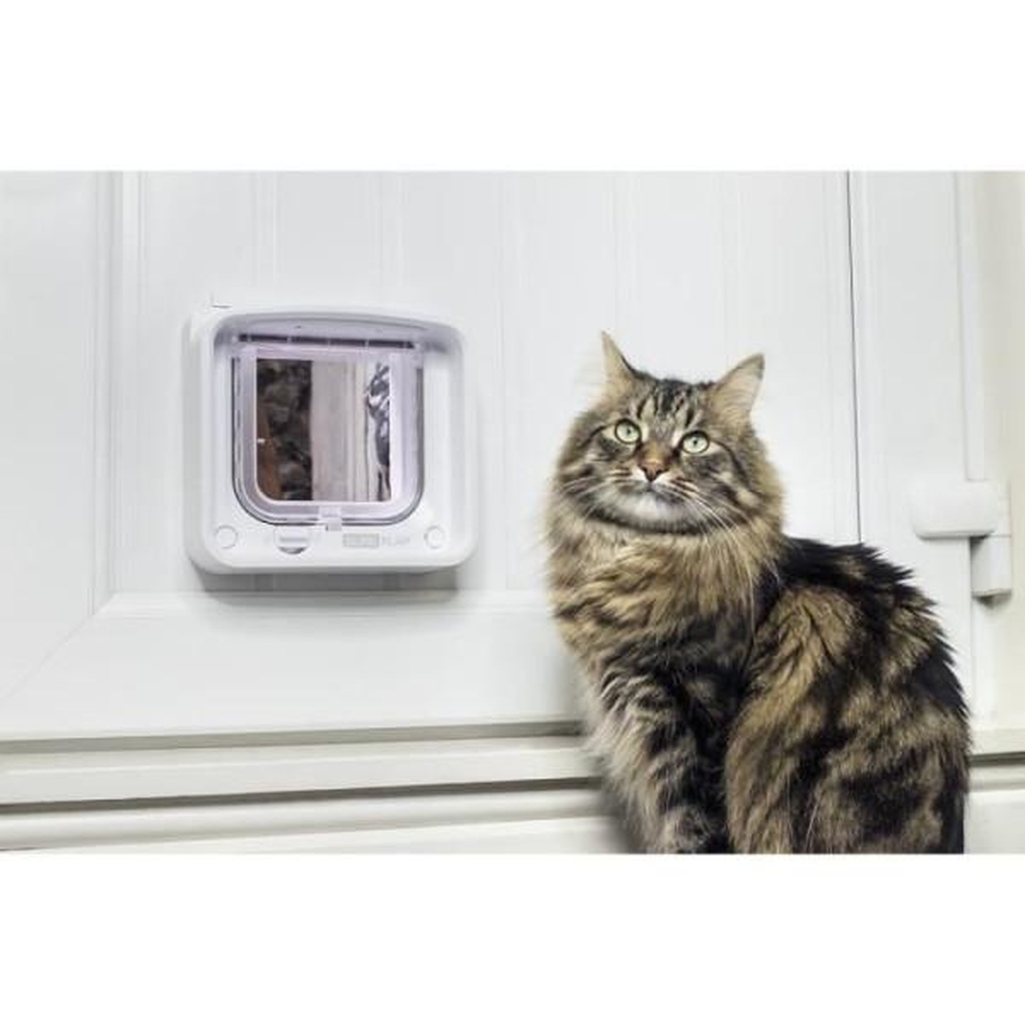 Voir la diapositive 2 : N/A Sureflap chatiere a puce électronique connecté - blanc - 142 mm x 120 mm (livré sans le hub)
