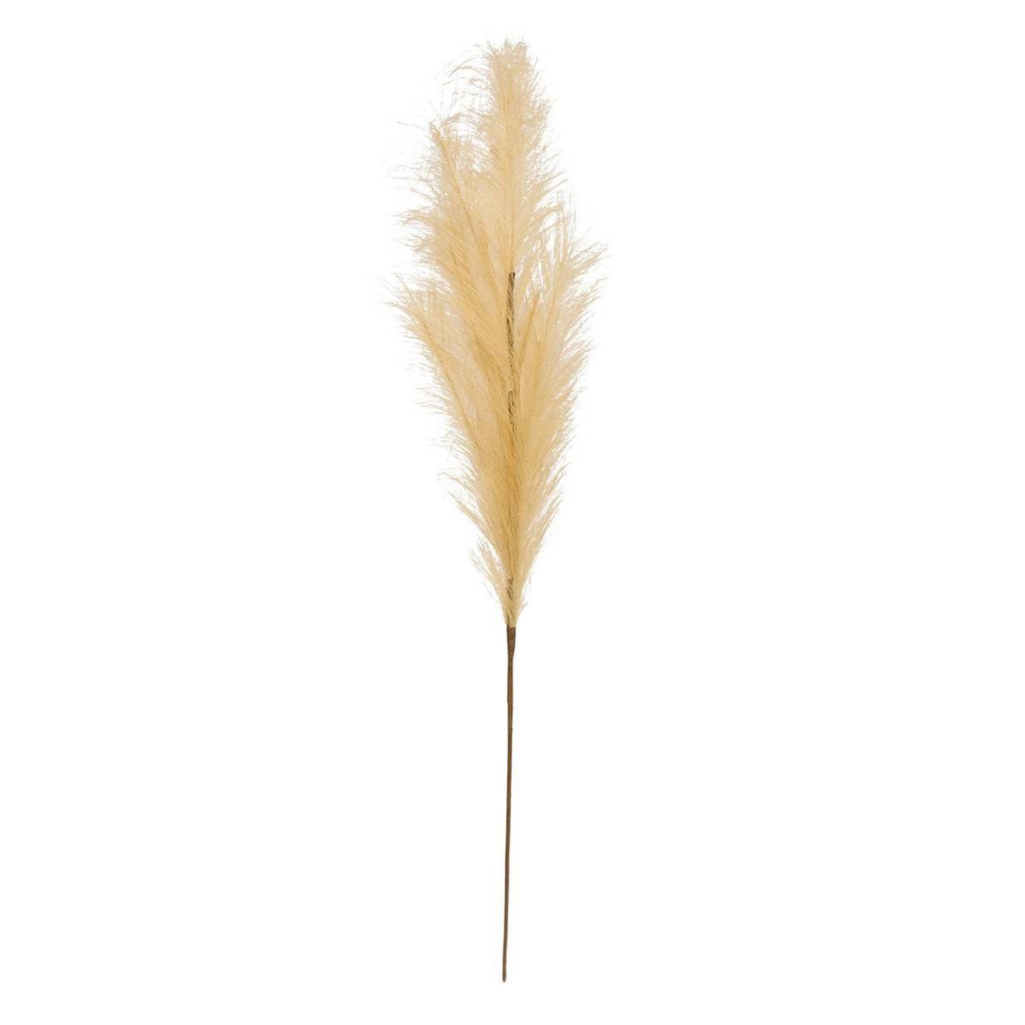 ATMOSPHERA Pampa Artificielle  Adna  90cm Beige