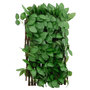 Voir la diapositive 5 : VIDAXL vidaXL Treillis de lierre artificiel extensible 5 pcs vert 180x30 cm