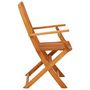 Voir la diapositive 4 : VIDAXL Chaises de jardin pliables lot de 2 Bois d'eucalyptus massif