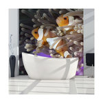 Paris Prix Papier Peint  Poissons Clowns. Coloris disponibles : Multicolore