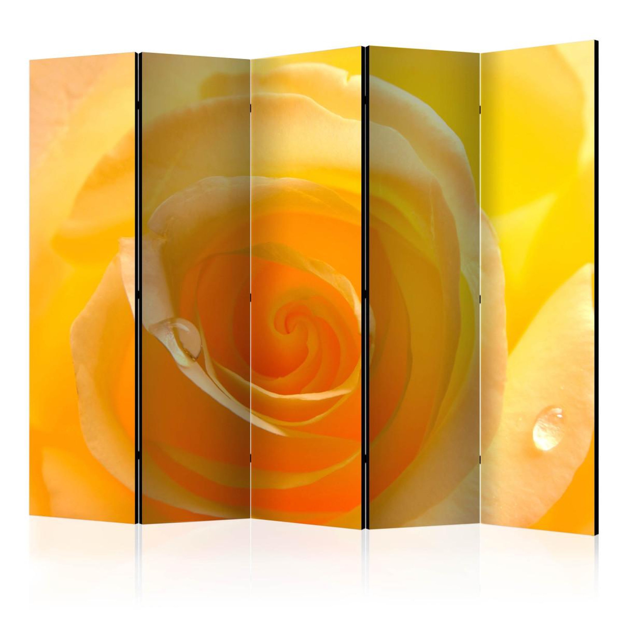 Paris Prix Paravent 5 volets  yellow rose  172x225cm