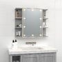 Voir la diapositive 3 : VIDAXL Armoire a miroir avec LED Sonoma gris 70x16,5x60 cm