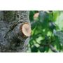 Voir la diapositive 3 : Gardena GARDENA Coupe-branches a enclume SmartCut Comfort – Lame enclume auto – Coupe Ø45mm max – Anti adhérence – Garantie 25