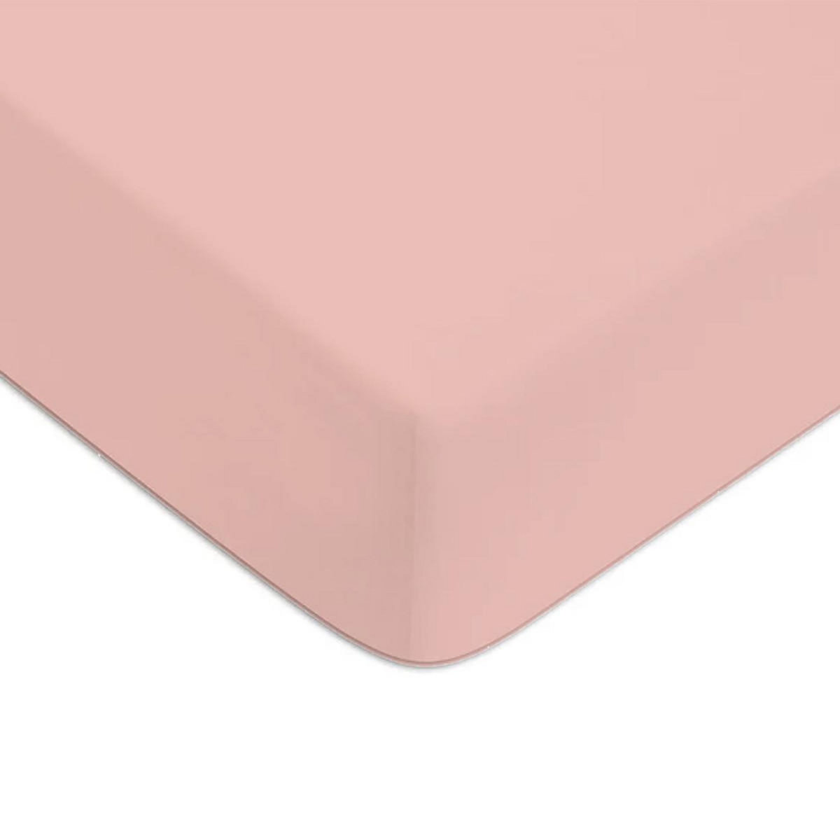 FUTURE HOME Drap housse en coton 57 fils uni bonnet 25cm