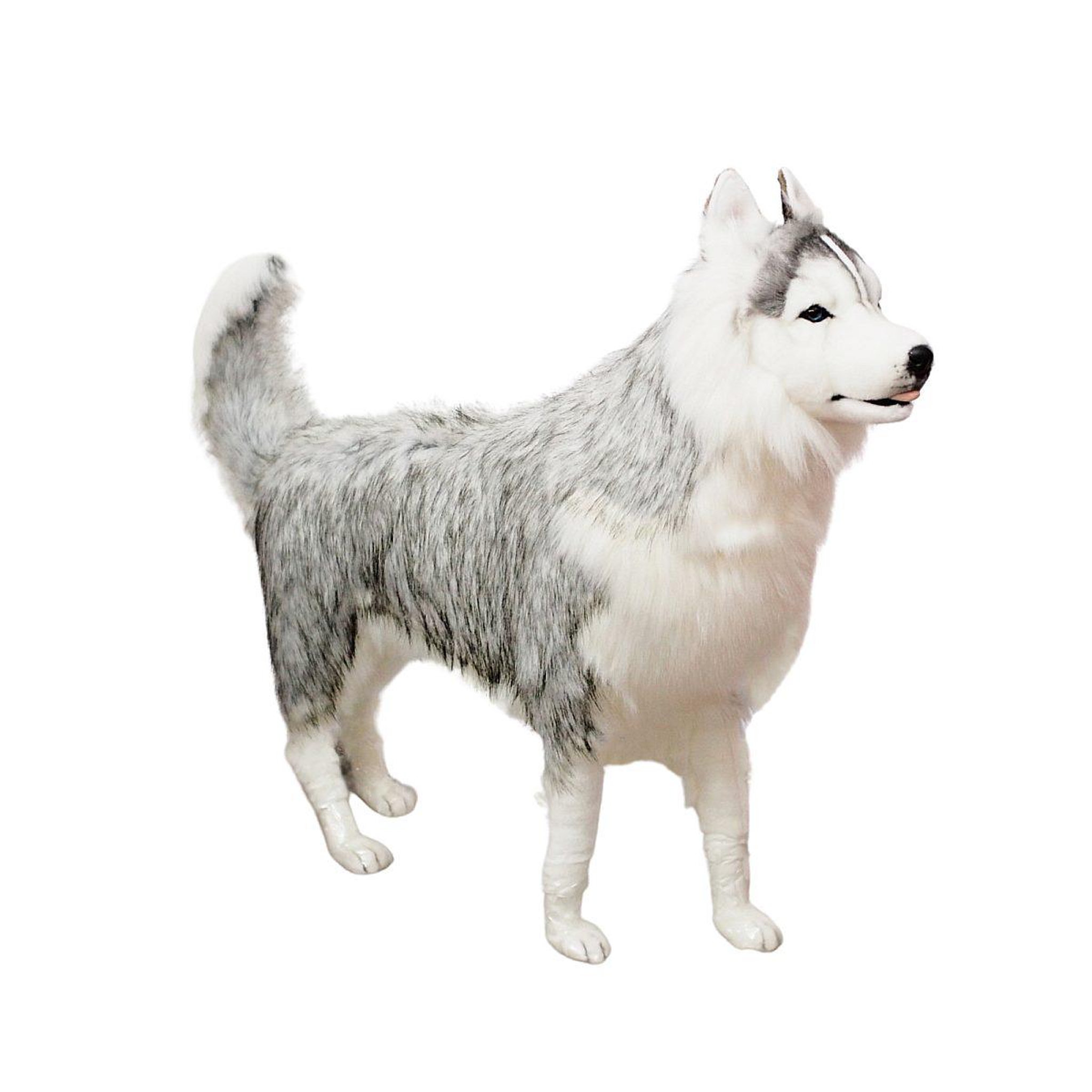 Voir la diapositive 1 : Hansa Hansa peluche geante husky gris 115 cm