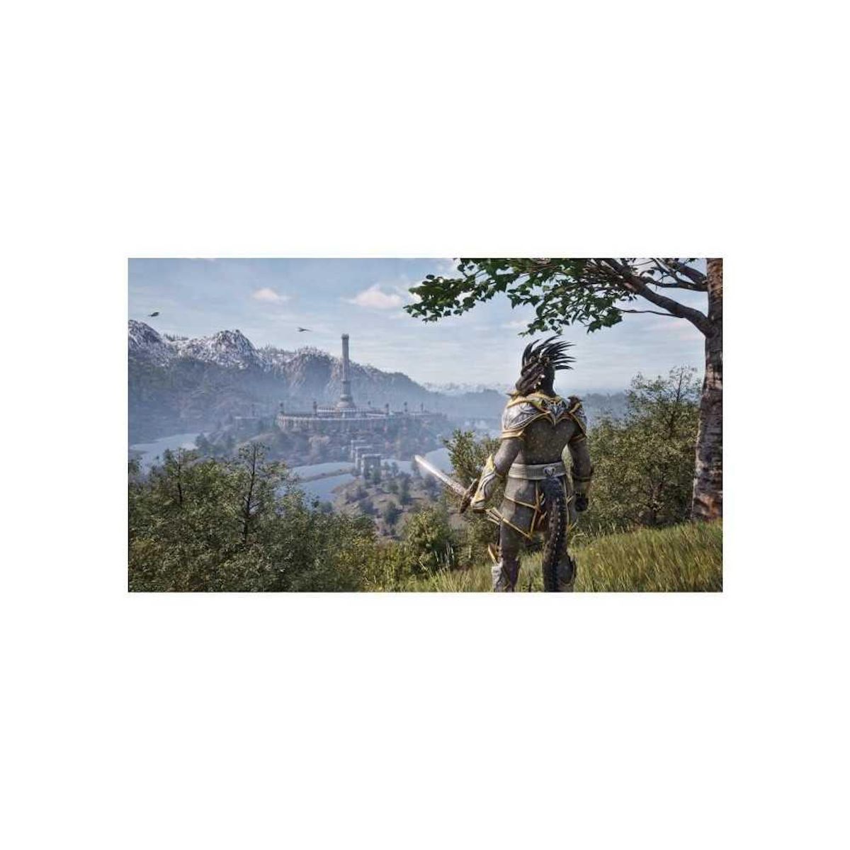 MICROSOFT Elder Scrolls IV Oblivion - Jeu Xbox Series X